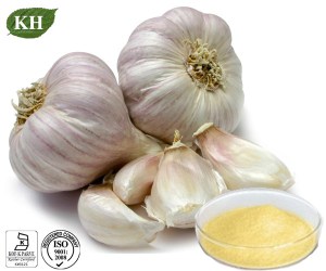 Allicin 0.6%, 0.8%, 1%, 2% Garlic Extract