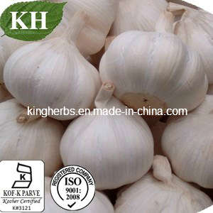 Natural Deodorized Garlic Extract Allicin 1%-5% by HPLC