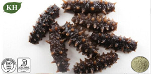 Factory Supply Pure Sea Cucumber Extract Mucopolysaccharides 15%